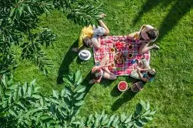 Rüyada aileyle piknik yapmak, huzur, mutluluk, birlik, beraberlik ve aile bağlarının güçlenmesinin sembolüdür.